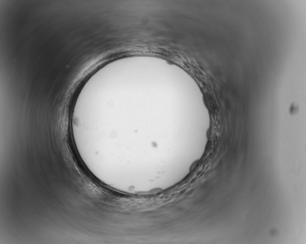 X0000103500005200810031638