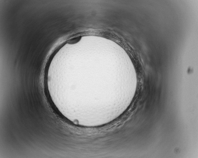 X0000103500006200810031638