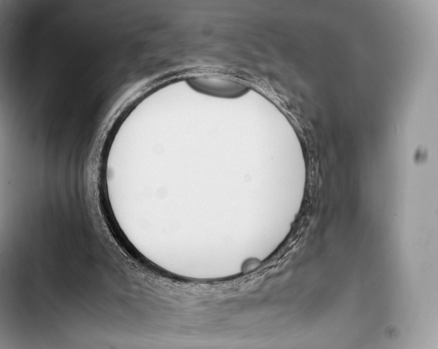 X0000103500007200810031638