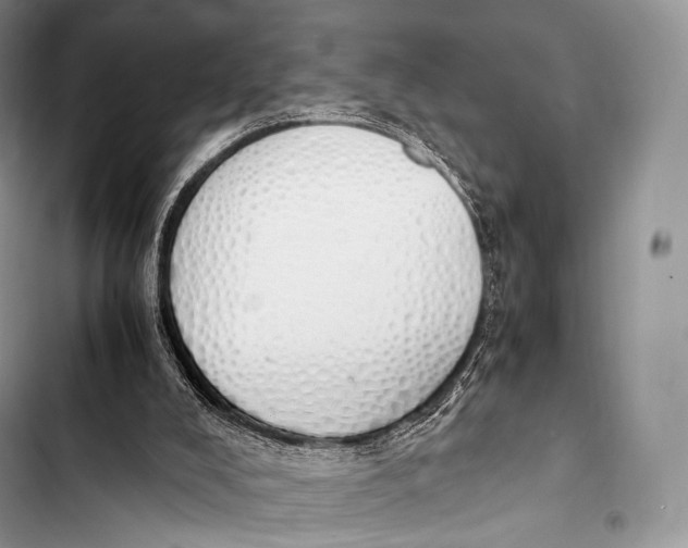 X0000103500008200810031638