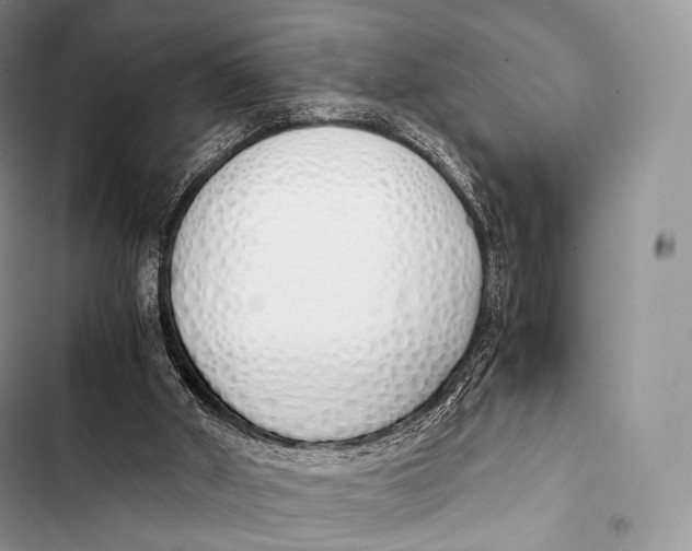 X0000103500010200810031638