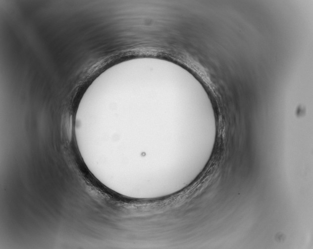 X0000103500013200810031638