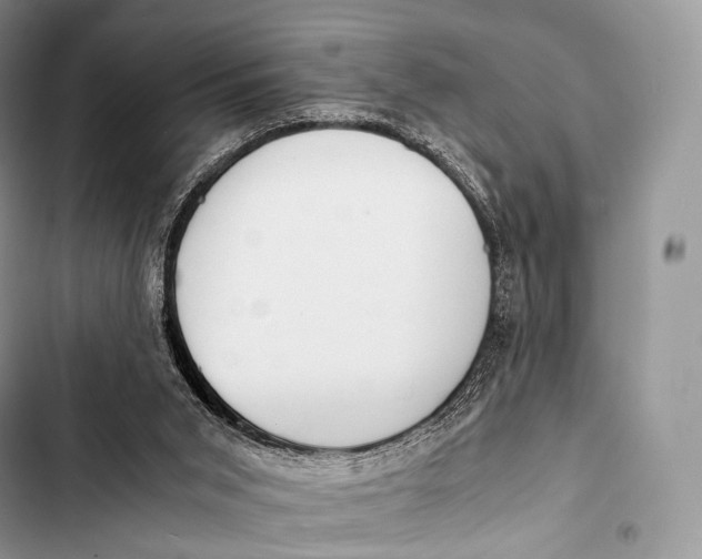 X0000103500015200810031638