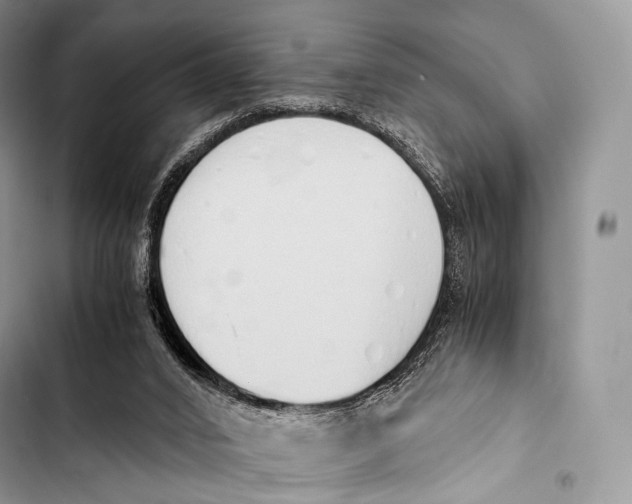 X0000103500016200810031638