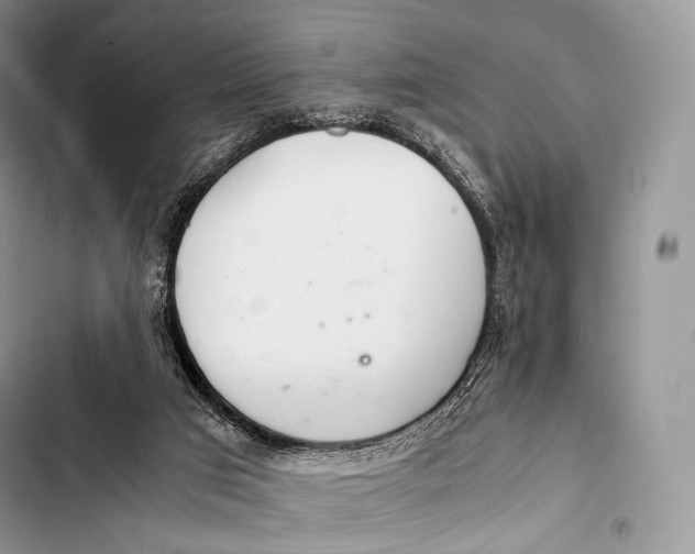 X0000103500017200810031638