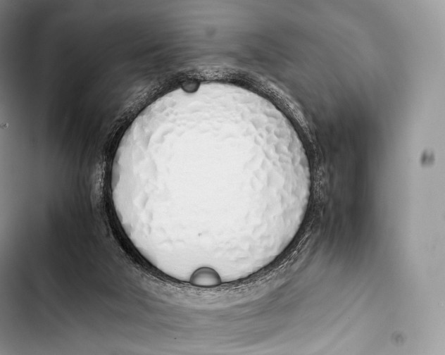 X0000103500018200810031638