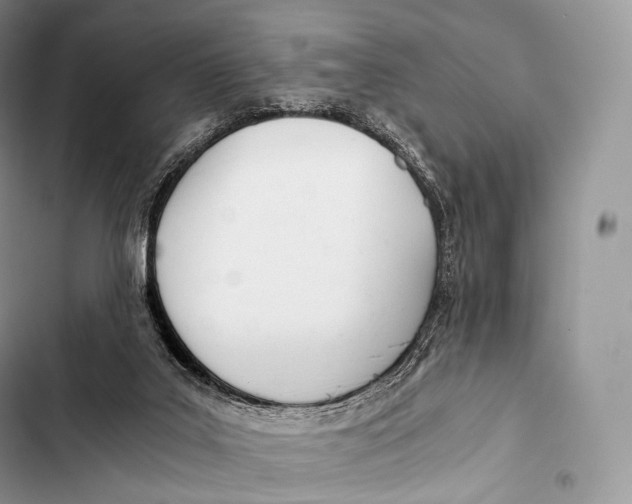 X0000103500019200810031638