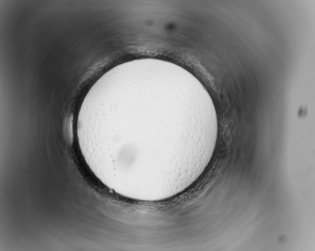 X0000103500020200810031638