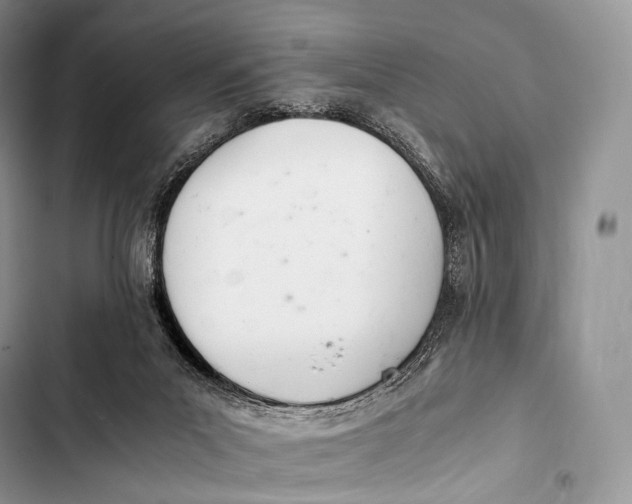 X0000103500023200810031638