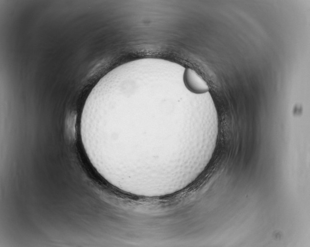 X0000103500024200810031638