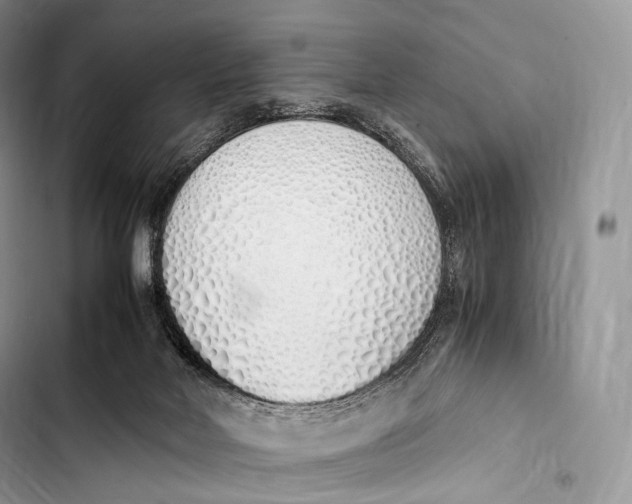 X0000103500026200810031638