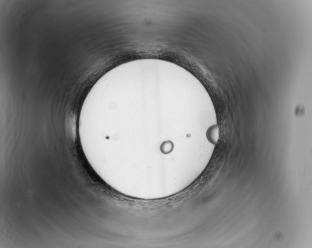 X0000103500027200810031638