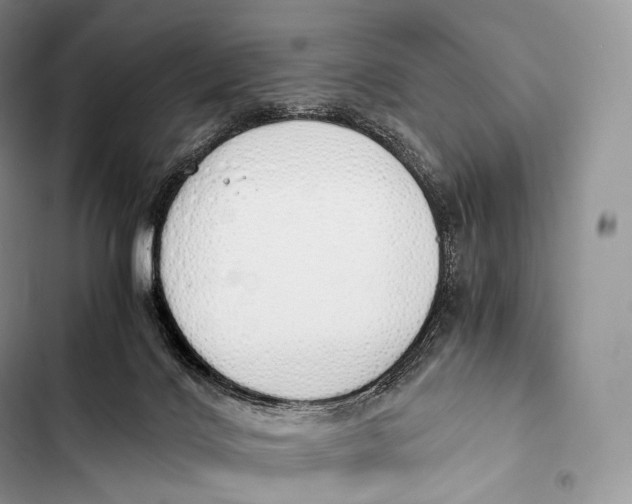 X0000103500028200810031638