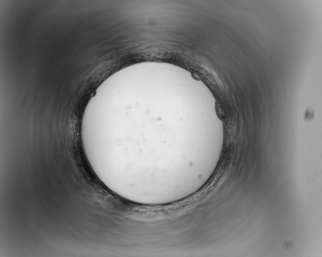 X0000103500029200810031638