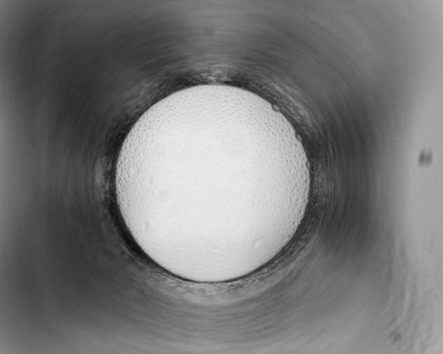 X0000103500030200810031638