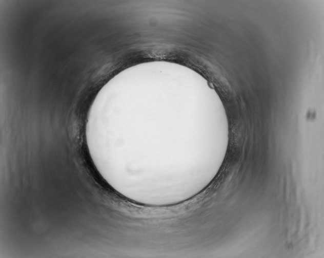 X0000103500031200810031638