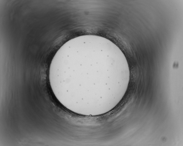 X0000103500032200810031638