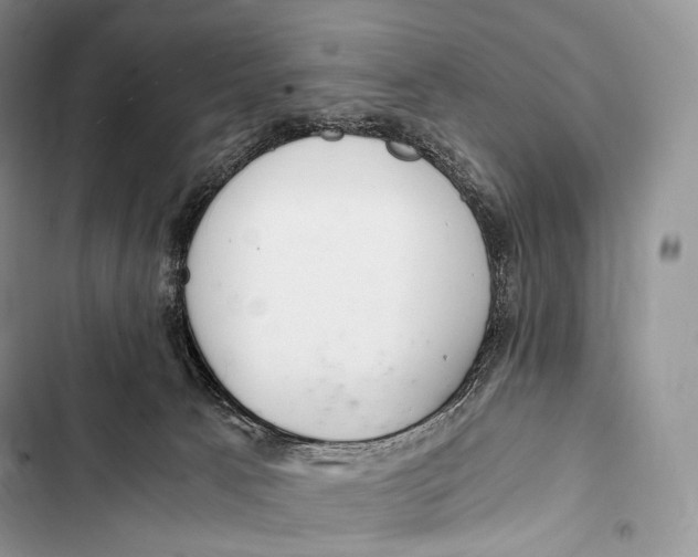 X0000103500033200810031638