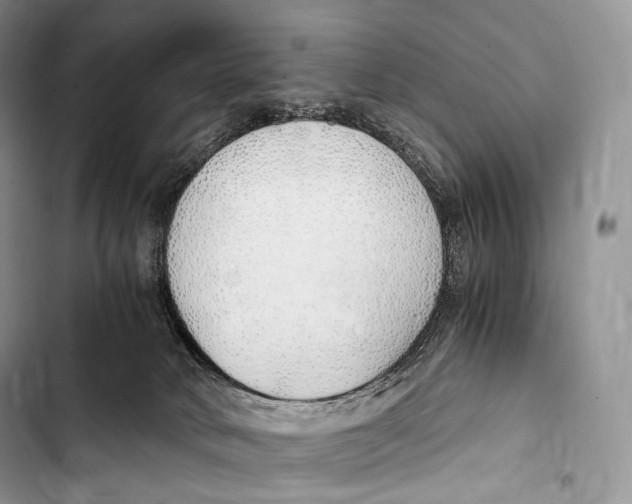 X0000103500034200810031638