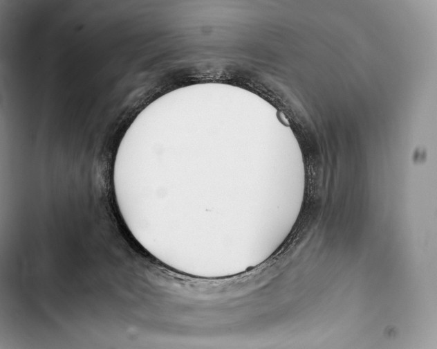 X0000103500035200810031638