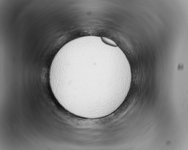 X0000103500036200810031638