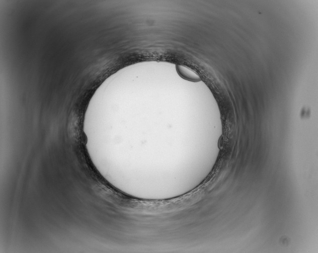 X0000103500037200810031638