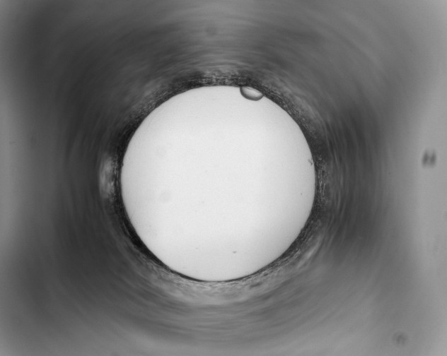 X0000103500038200810031638