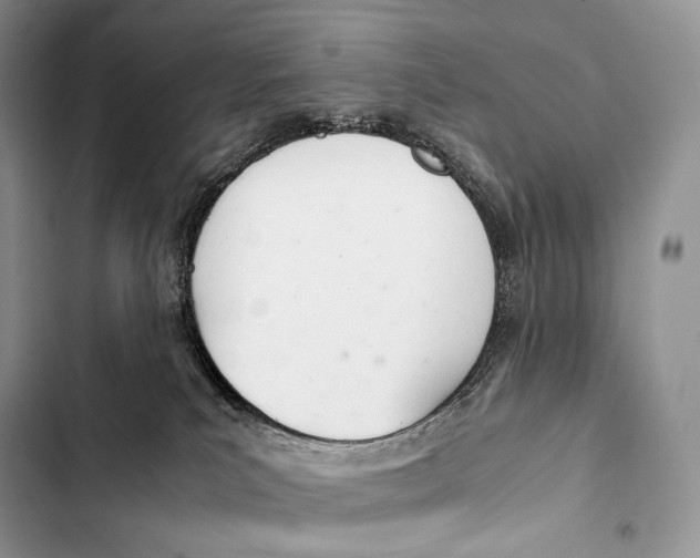 X0000103500039200810031638