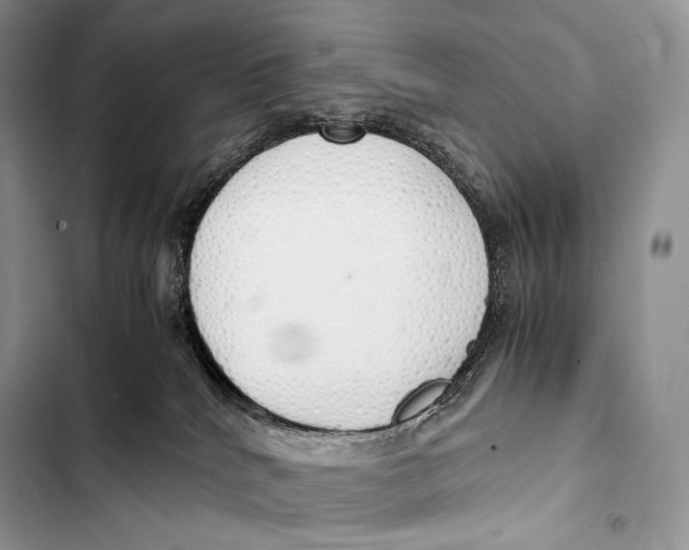 X0000103500040200810031638