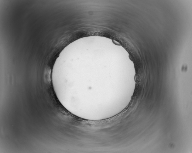 X0000103500041200810031638