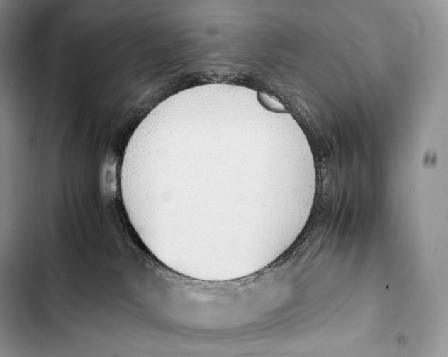 X0000103500042200810031638