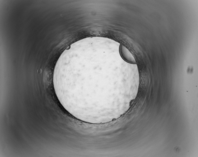 X0000103500043200810031638