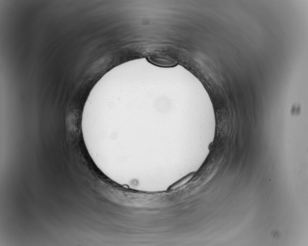 X0000103500044200810031638