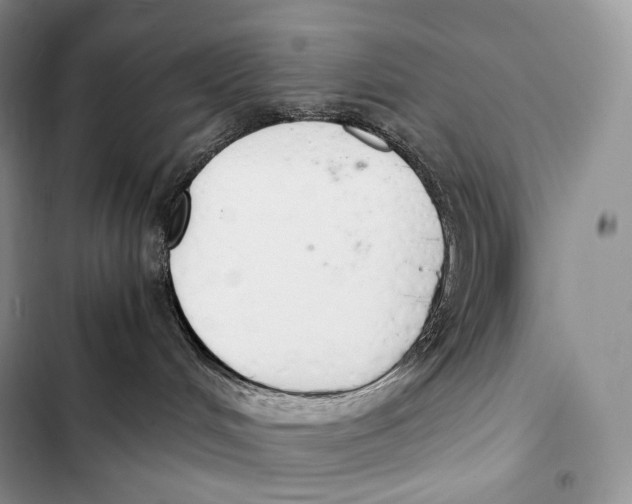 X0000103500048200810031638