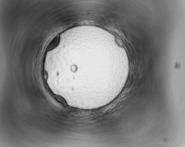 X0000103500049200810031637