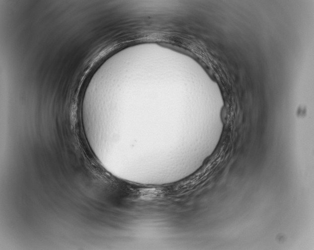 X0000103500050200810031637