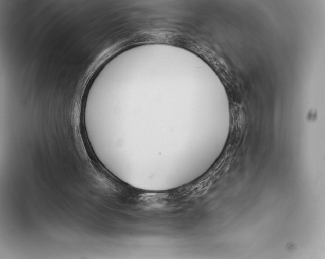 X0000103500051200810031637