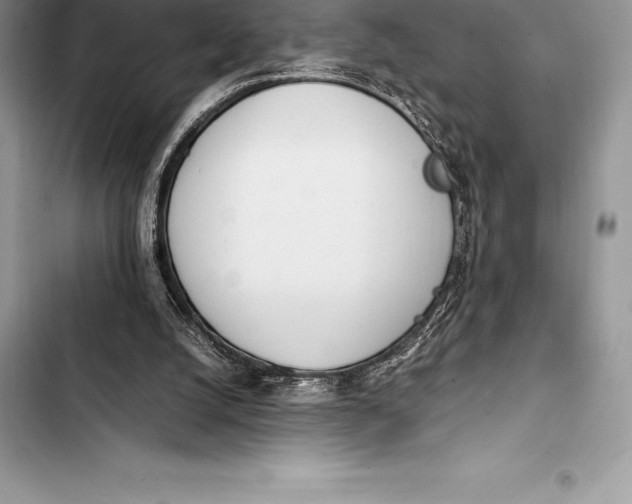 X0000103500056200810031637