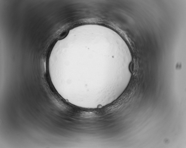 X0000103500061200810031637