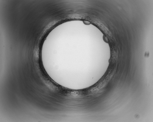 X0000103500064200810031637