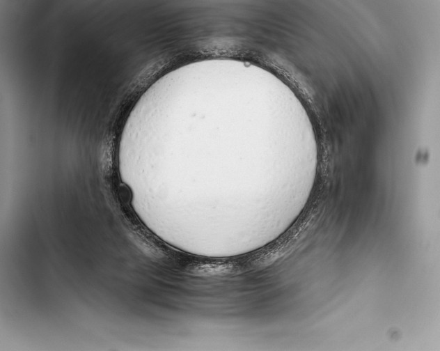 X0000103500065200810031637