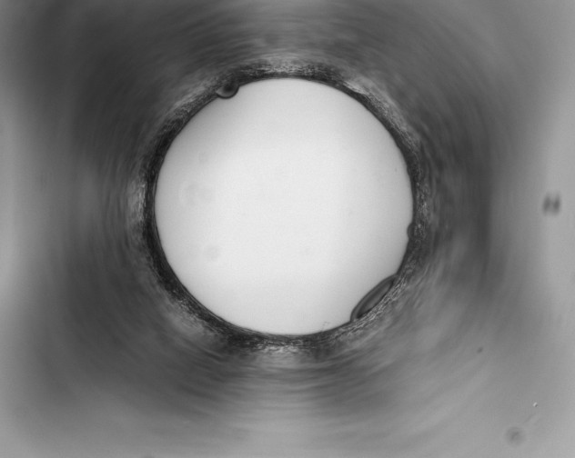 X0000103500066200810031637