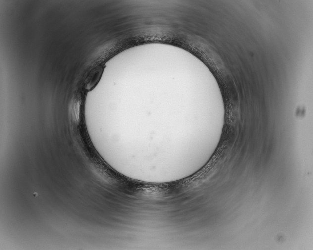 X0000103500070200810031637