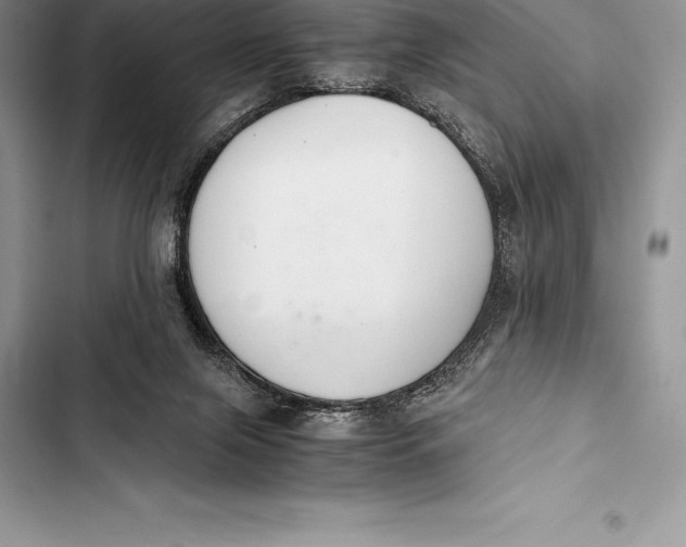 X0000103500071200810031637