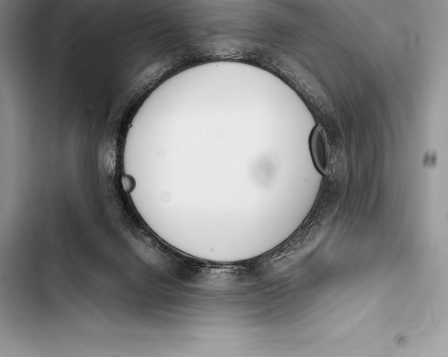 X0000103500072200810031637