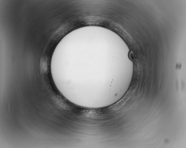 X0000103500074200810031637