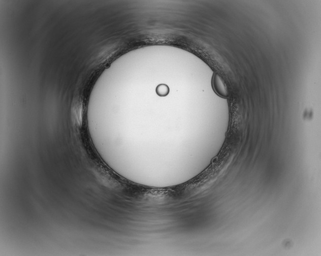 X0000103500076200810031637