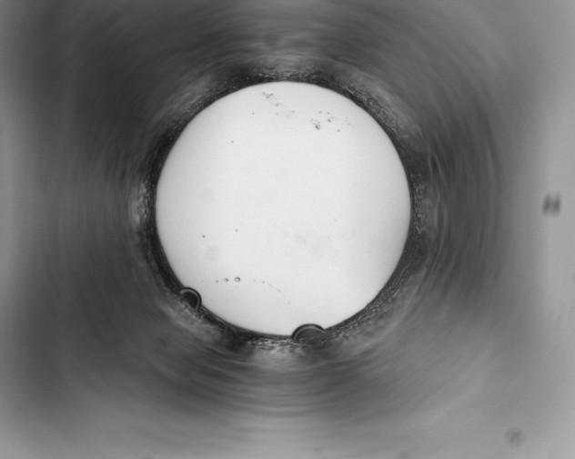 X0000103500077200810031637