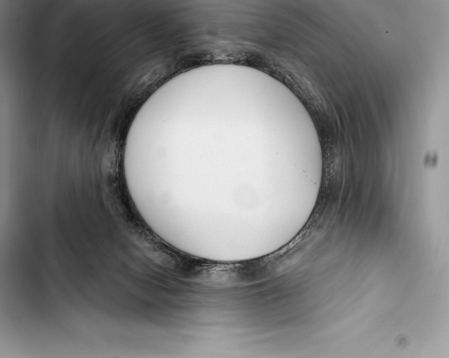 X0000103500078200810031637