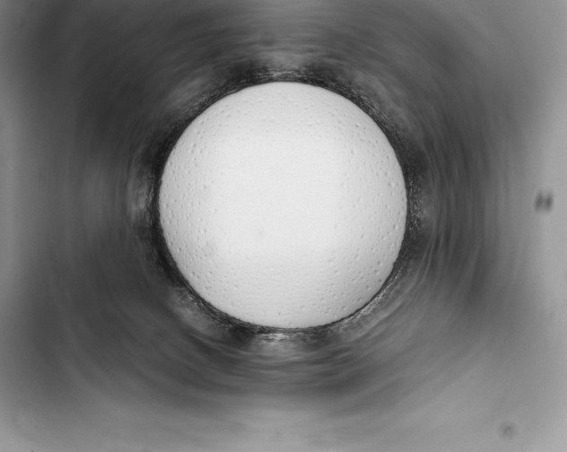 X0000103500082200810031637